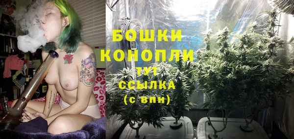 бошки Горняк