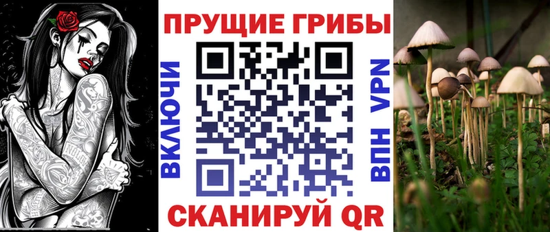 Псилоцибиновые грибы Cubensis Пушкино