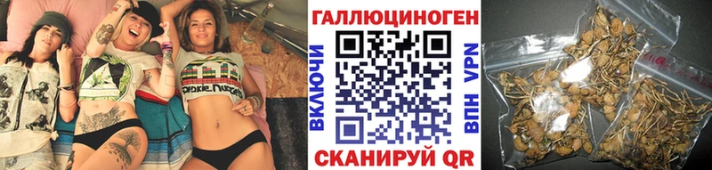 Галлюциногенные грибы Psilocybine cubensis Пушкино